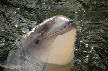 Main13